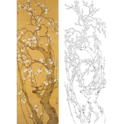 陈之佛竖幅工笔花鸟白描底稿-《老梅》-多种白描尺寸可选-QA71 商品图0