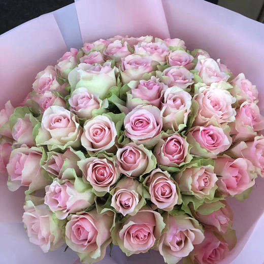 迷恋玫瑰10枝一扎 商品图3