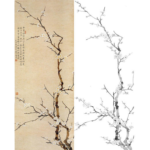 陈之佛竖幅工笔花鸟白描底稿-《白梅》-多种白描尺寸可选-QA63 商品图0