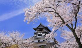 （永久下架）松山暑假四日自由行