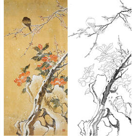 陈之佛竖幅工笔花鸟白描底稿《雪里茶梅》-多种白描尺寸可选-QA81