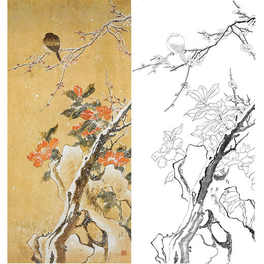 陈之佛竖幅工笔花鸟白描底稿《雪里茶梅》-多种白描尺寸可选-QA81 商品图0