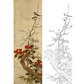 陈之佛竖幅工笔花鸟白描底稿《梅雀山茶》-多种白描尺寸可选-QA73