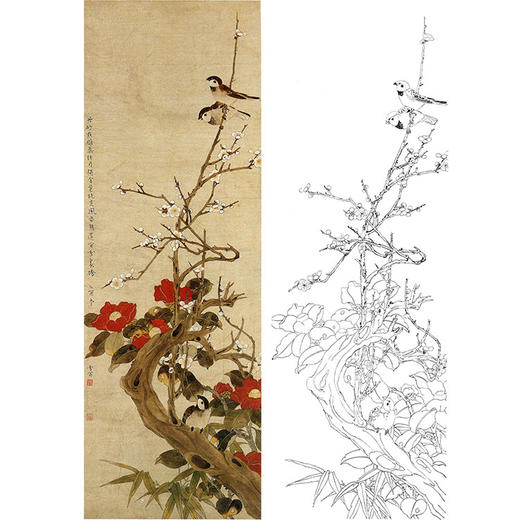陈之佛竖幅工笔花鸟白描底稿《梅雀山茶》-多种白描尺寸可选-QA73 商品图0