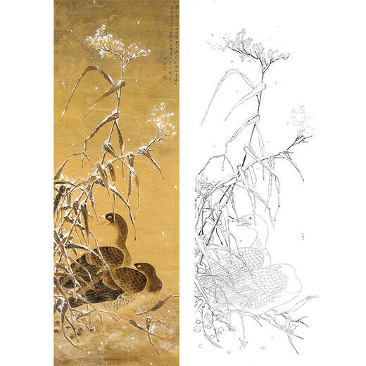 陈之佛竖幅工笔花鸟白描底稿《雪雁》-多种白描尺寸可选-QA82 商品图0