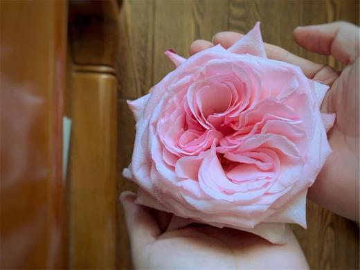 粉荔枝玫瑰10枝一扎 商品图3