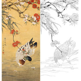 陈之佛竖幅工笔花鸟白描底稿《春江水暖》-多种白描尺寸可选-QA64