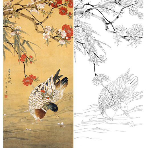 陈之佛竖幅工笔花鸟白描底稿《春江水暖》-多种白描尺寸可选-QA64 商品图0