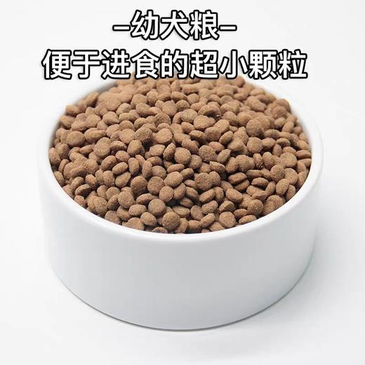 善玉多 益生菌柴犬专用幼犬粮/成犬粮 3kg 商品图2