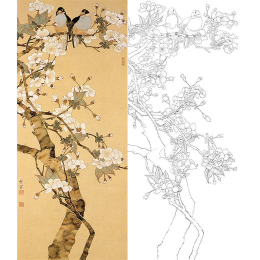 陈之佛竖幅工笔花鸟白描底稿-樱花小鸟-QA84 商品图0