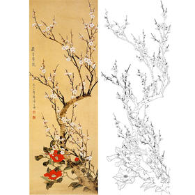 陈之佛竖幅工笔花鸟白描底稿-《岁首双艳》-多种白描尺寸可选-QA76
