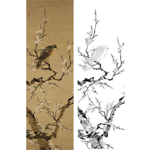 陈之佛竖幅工笔花鸟白描底稿《梅树栖鸠》-多种白描尺寸可选-QA74 商品图0