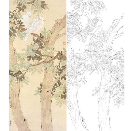 陈之佛竖幅工笔花鸟白描底稿《槐荫双鸠》-多种白描尺寸可选-QA70 商品图0