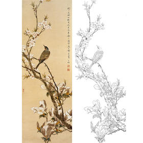 陈之佛竖幅工笔花鸟白描底稿-桃花-QA77