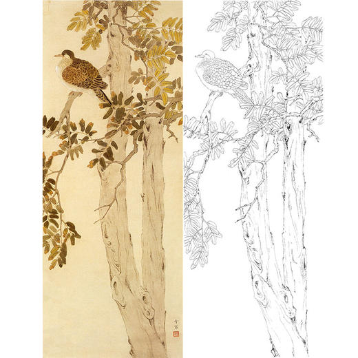 陈之佛竖幅工笔花鸟白描底稿《槐荫栖鸠》-多种白描尺寸可选-QA69 商品图0