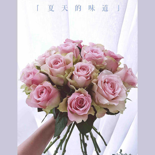 迷恋玫瑰10枝一扎 商品图2