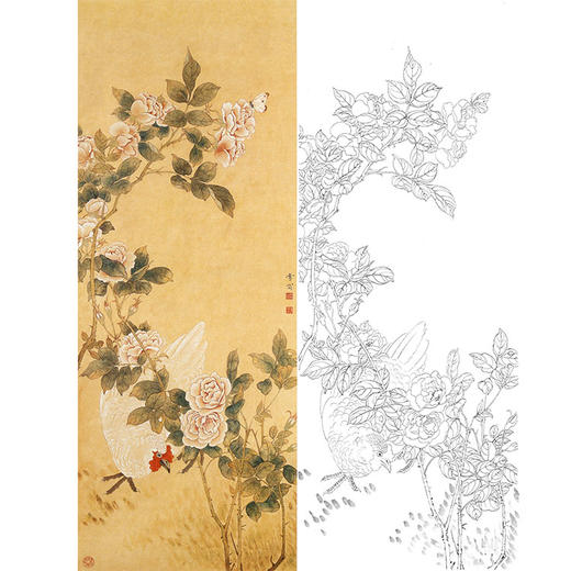 陈之佛竖幅工笔花鸟白描底稿-蔷薇白鸡-QA75 商品图0