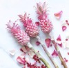 粉菠萝一枝 商品缩略图0