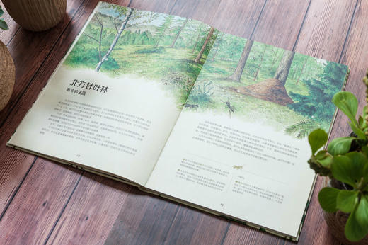 动物博物馆+植物博物馆（套装共2册） 商品图3