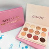 colourpop12色眼影盘#give it to me straight（000002） 商品缩略图0