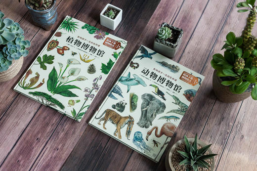 动物博物馆+植物博物馆（套装共2册） 商品图2