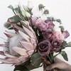 粉色帝王花一枝 商品缩略图2