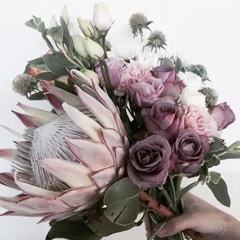 粉色帝王花一枝 商品图2