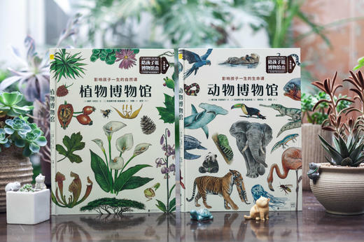 动物博物馆+植物博物馆（套装共2册） 商品图0