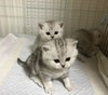 yy-资产公交车测试商品-勿动 商品缩略图0