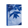 蓝花 佩内洛普菲茨杰拉德 著 历史小说 中信出版社图书 正版书籍 商品缩略图1