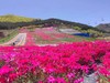 【亲子】兴隆山亲子乐园彩虹滑道+骑马+羊驼+碰碰车+飞椅+海盗船优惠套票 商品缩略图0