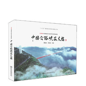 正版现货中国公路峡谷大桥 “十三五”国家重点图书出版规划项目 公路工程 桥涵工程 黄镇东 李彦武 编著 人民交通出版社