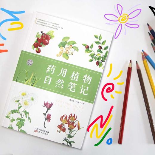《药用植物自然笔记》童书、科普、药用植物、自然、笔记、中医、本草 商品图5