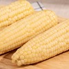 【8根】德樂圆 棒宝贝娃娃营养玉米 有机标准种植，无农药无化肥，营养均衡 商品缩略图2