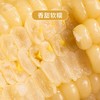 【8根】德樂圆 棒宝贝娃娃营养玉米 有机标准种植，无农药无化肥，营养均衡 商品缩略图6