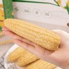 【8根】德樂圆 棒宝贝娃娃营养玉米 有机标准种植，无农药无化肥，营养均衡 商品缩略图5