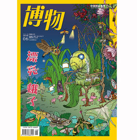 《博物》201906 漂亮蛾子