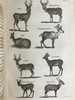 1830年博物志经典  布封 自然史（全3卷） 200余幅精美原品铜版画插图上等真皮装18开 商品缩略图9