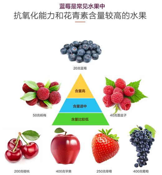 【孕妇 小孩必备零食】小兴安岭野生蓝莓干 护眼必备零食250g 商品图4