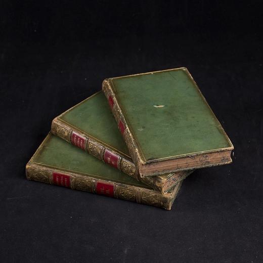 1830年博物志经典  布封 自然史（全3卷） 200余幅精美原品铜版画插图上等真皮装18开 商品图4