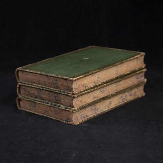 1830年博物志经典  布封 自然史（全3卷） 200余幅精美原品铜版画插图上等真皮装18开 商品图2