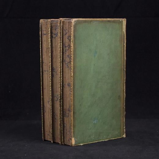 1830年博物志经典  布封 自然史（全3卷） 200余幅精美原品铜版画插图上等真皮装18开 商品图1