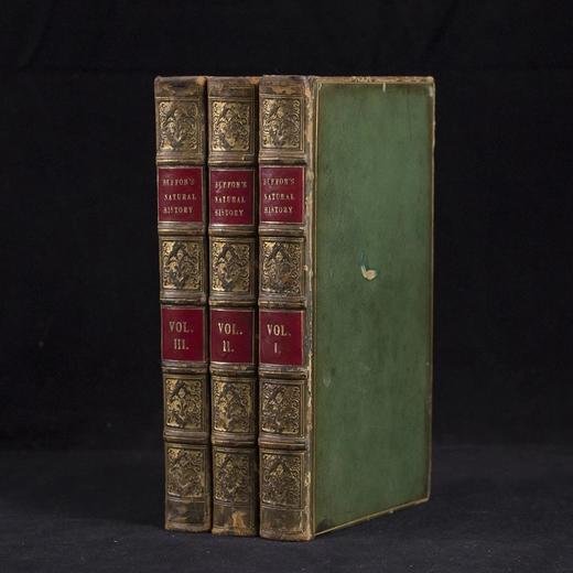 1830年博物志经典  布封 自然史（全3卷） 200余幅精美原品铜版画插图上等真皮装18开 商品图0