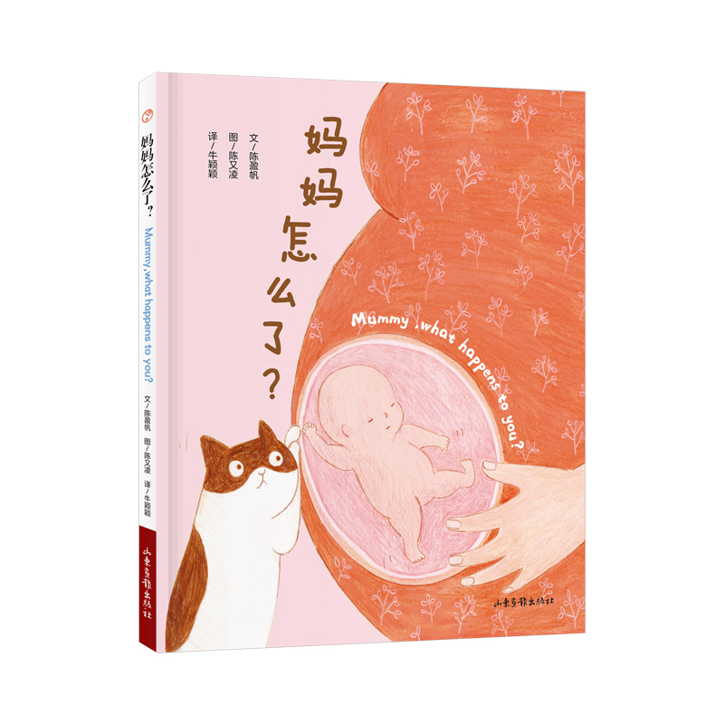 《妈妈怎么了？》：一段关乎二胎家庭的奇妙之旅