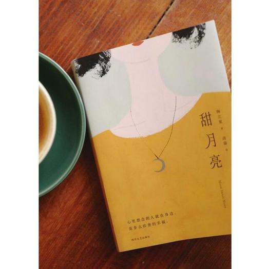 甜月亮（陶立夏联手人气画家卤猫合著2019爱情小说，书写生命里的告别与重逢） 商品图1
