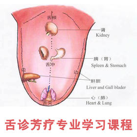  中医芳疗课程——舌诊芳疗专业学习课程  辛禾老师授课  