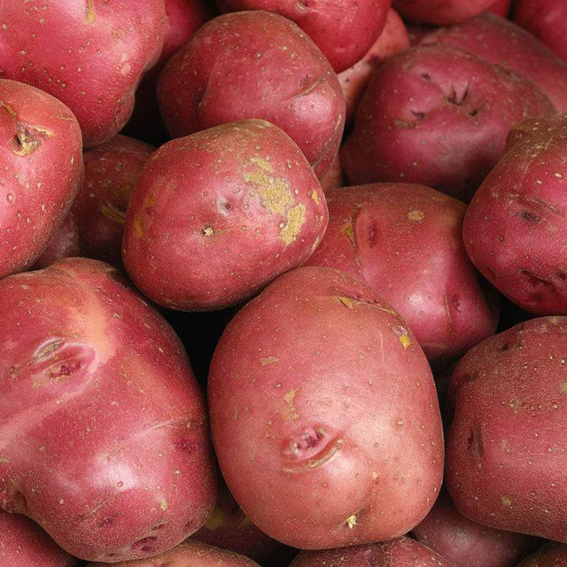 云南红皮土豆 5斤高原红皮新鲜小土豆 云南直发 农家自种