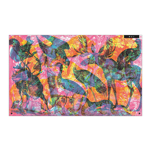 【现货包邮】点亮自然  中信出版社图书 正版书籍 3-15岁 科普书 商品图6