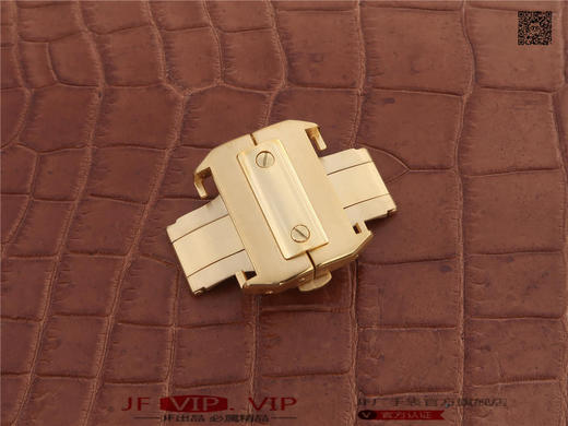 RB卡地亚山度士黑骑士，间玫瑰金，间钛圈，直径38mm 商品图9