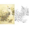 万一竖幅工笔花鸟白描底稿-葵花鹦鹉-WT24 商品缩略图0